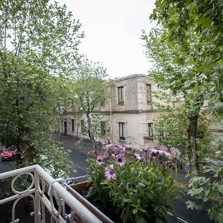 B&B Morosoli Palace CTA Exterior foto
